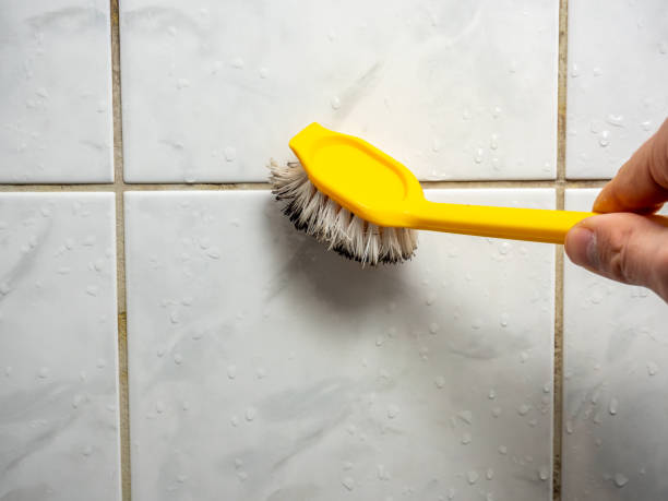Best Toxic Mold Removal  in Great River, NY