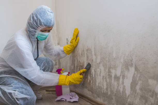 Crawl Space Mold Removal in Great River, NY