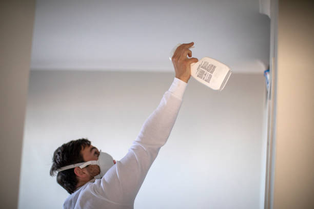 Best Mold Removal Specialists  in Great River, NY