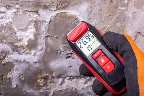 Best Mold Damage Repair  in Great River, NY