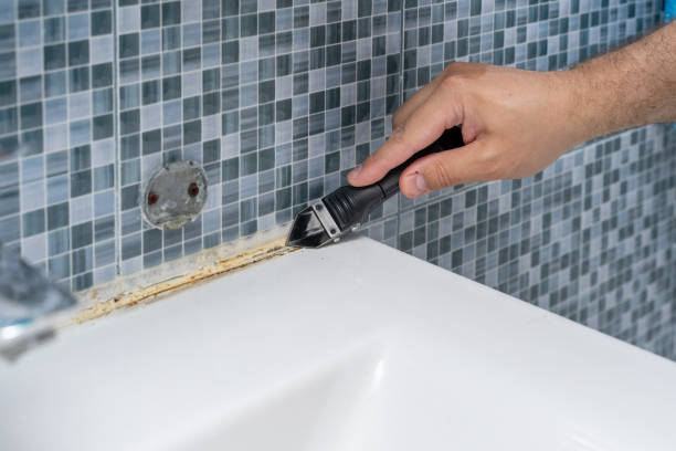 Best Affordable Mold Removal  in Great River, NY
