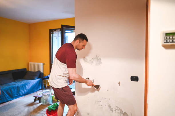 Best Commercial Mold Removal  in Great River, NY