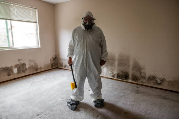 Best Residential Mold Removal  in Great River, NY